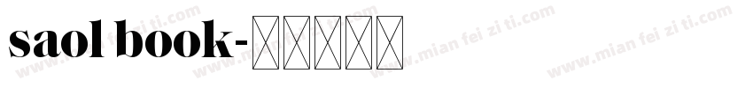 saol book字体转换